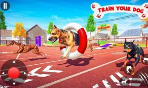 Cách Chơi Game Nhanh Đua Chó Tại V9Bet Hiệu Quả Nhất 5 Đua Chó Tại V9Bet