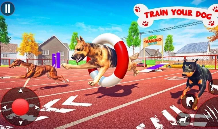 Cách Chơi Game Nhanh Đua Chó Tại V9Bet Hiệu Quả Nhất 1 Đua Chó Tại V9Bet