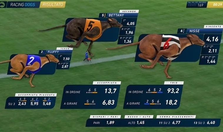 Cách Chơi Game Nhanh Đua Chó Tại V9Bet Hiệu Quả Nhất 2 Giao diện chơi game nhanh Đua Chó Tại V9Bet