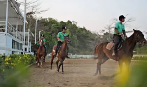 Tìm Hiểu Cá Cược Đua Ngựa V9Bet Với Các Luật Chơi Chi Tiết 10 Đua Ngựa V9Bet