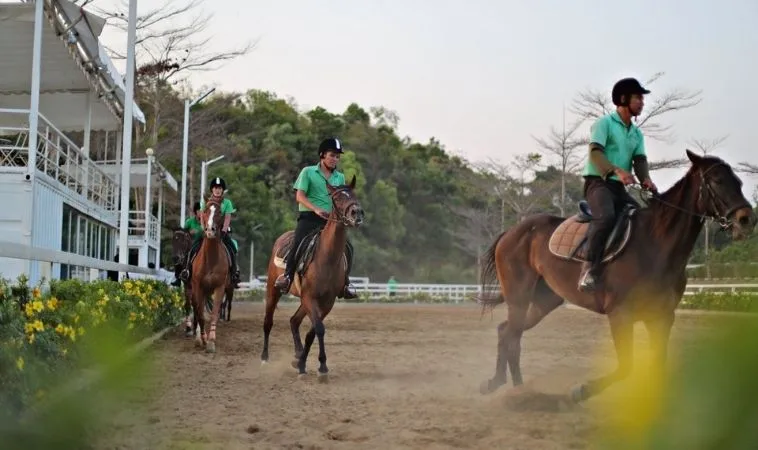 Tìm Hiểu Cá Cược Đua Ngựa V9Bet Với Các Luật Chơi Chi Tiết 2 Cần tìm hiểu kỹ về bộ môn Đua Ngựa V9Bet trước khi cá cược